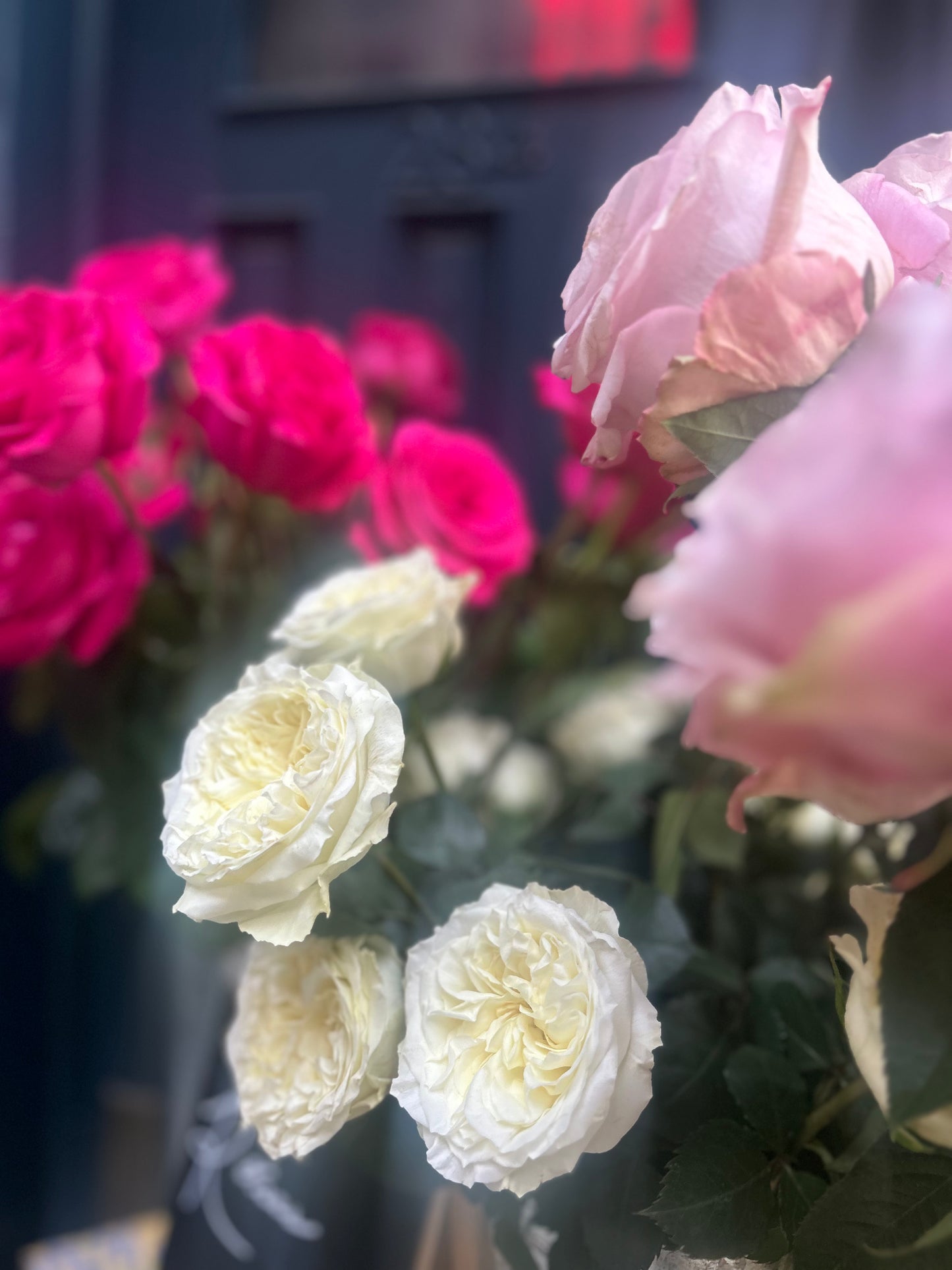 Bloom of the week