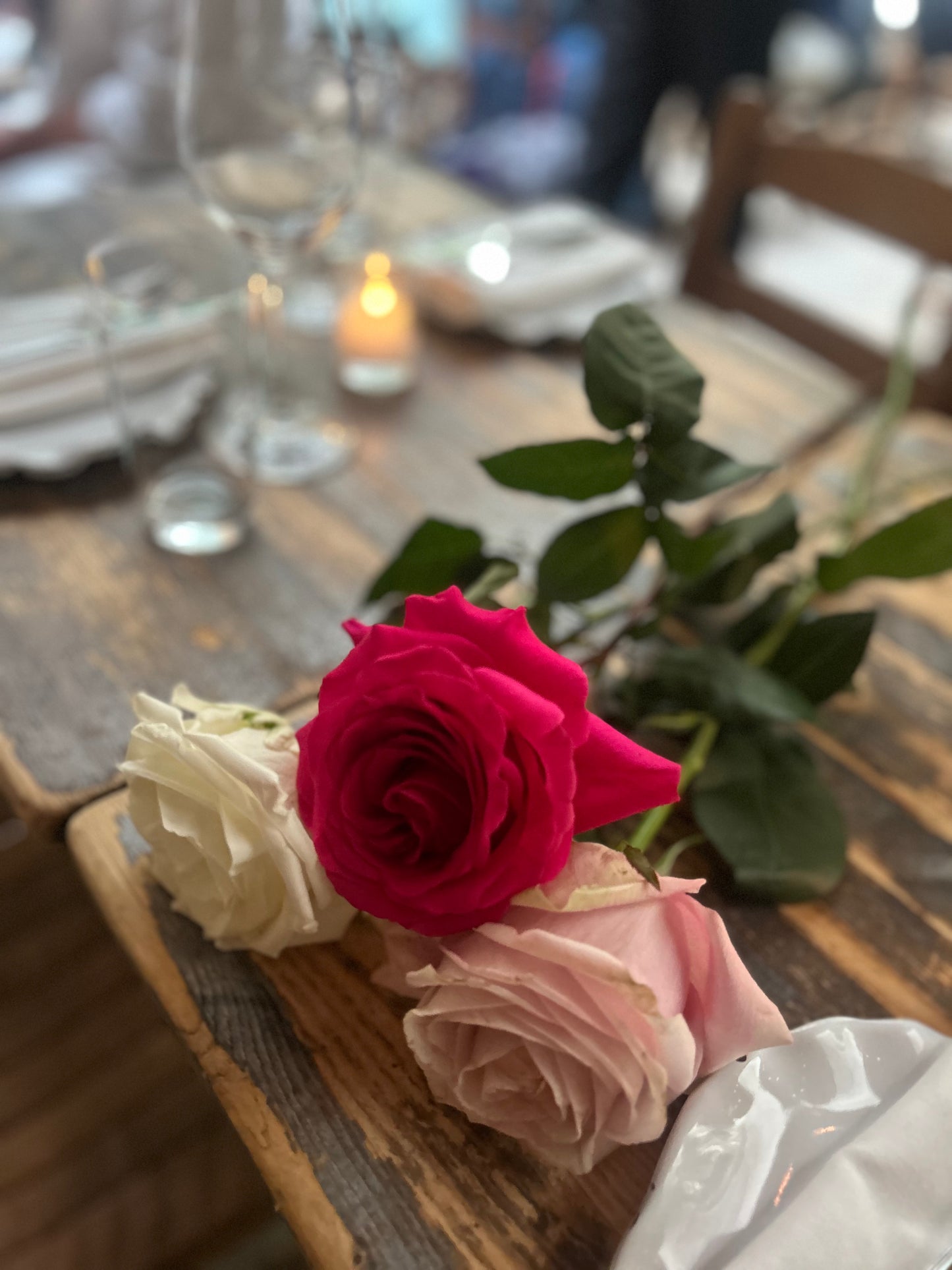 Bloom of the week